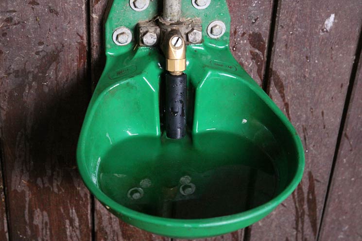 Gut so: Nur saubere Tränken gewährleisten eine einwandfreie Wasserqualität ohne Keime und Kontaminationen.